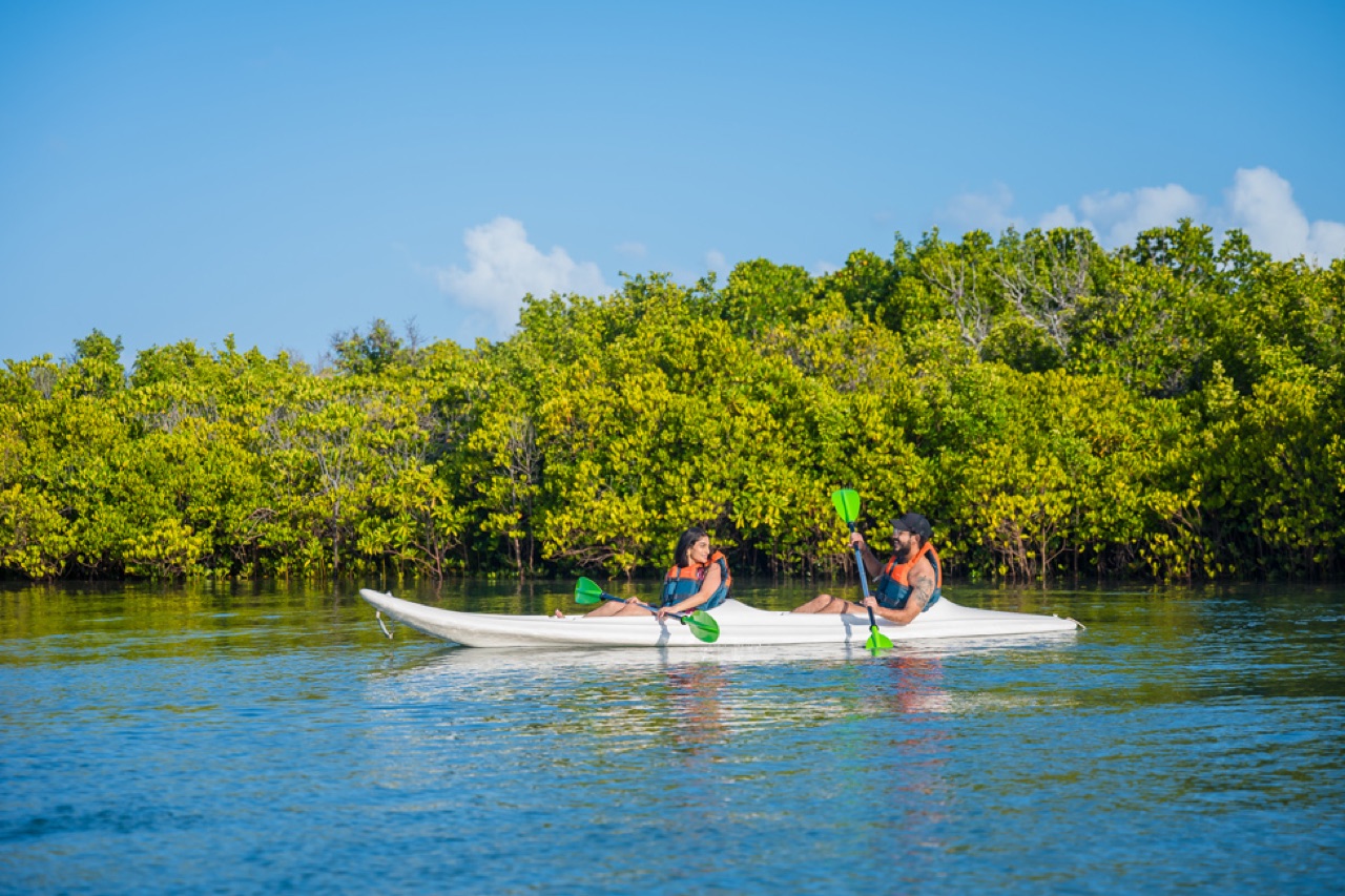 Kayaking the quiet mangrove creeks around Shela and Manda.