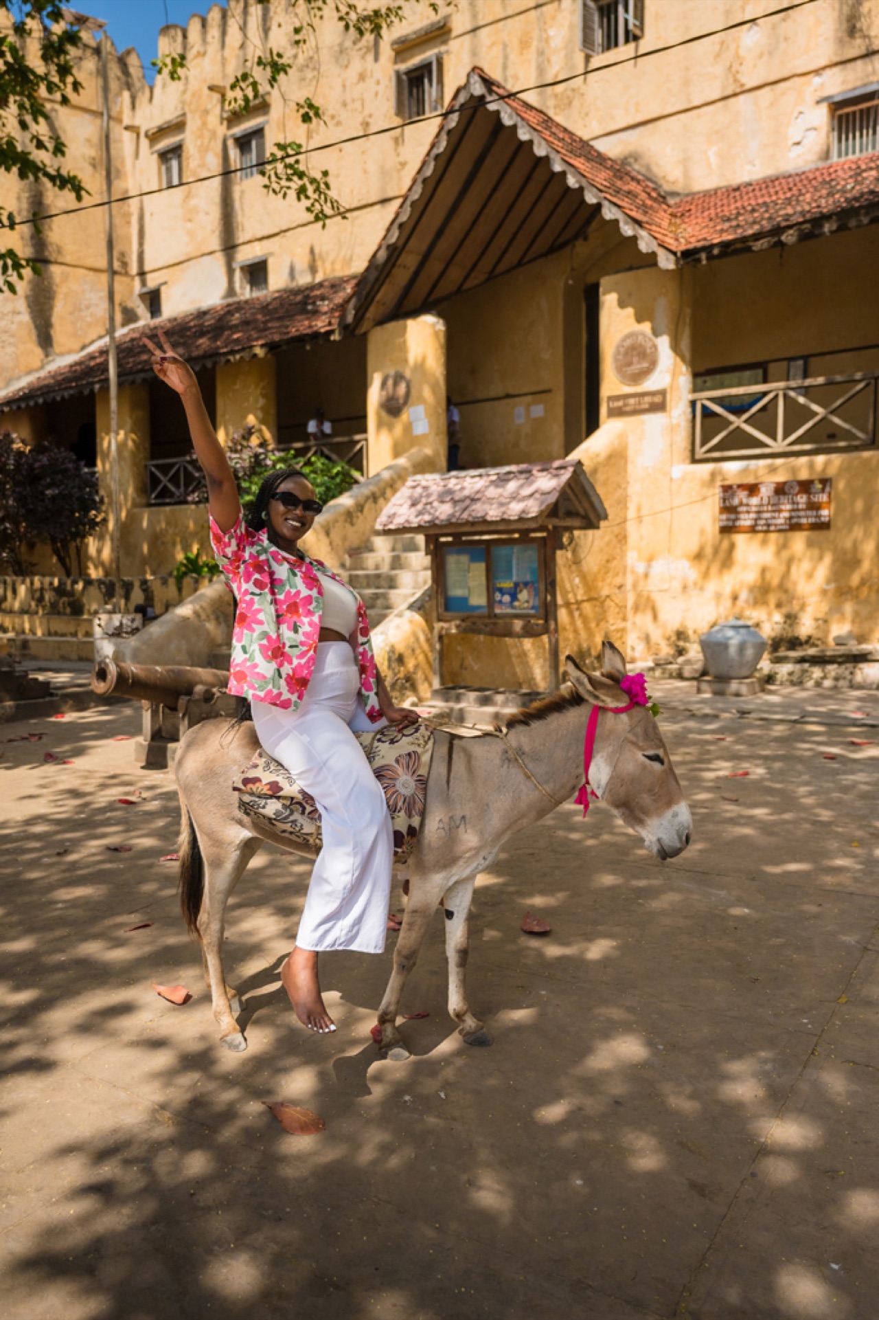 A traveller and a decorated donkey in the coral-stone lanes of Lamu Old Town.