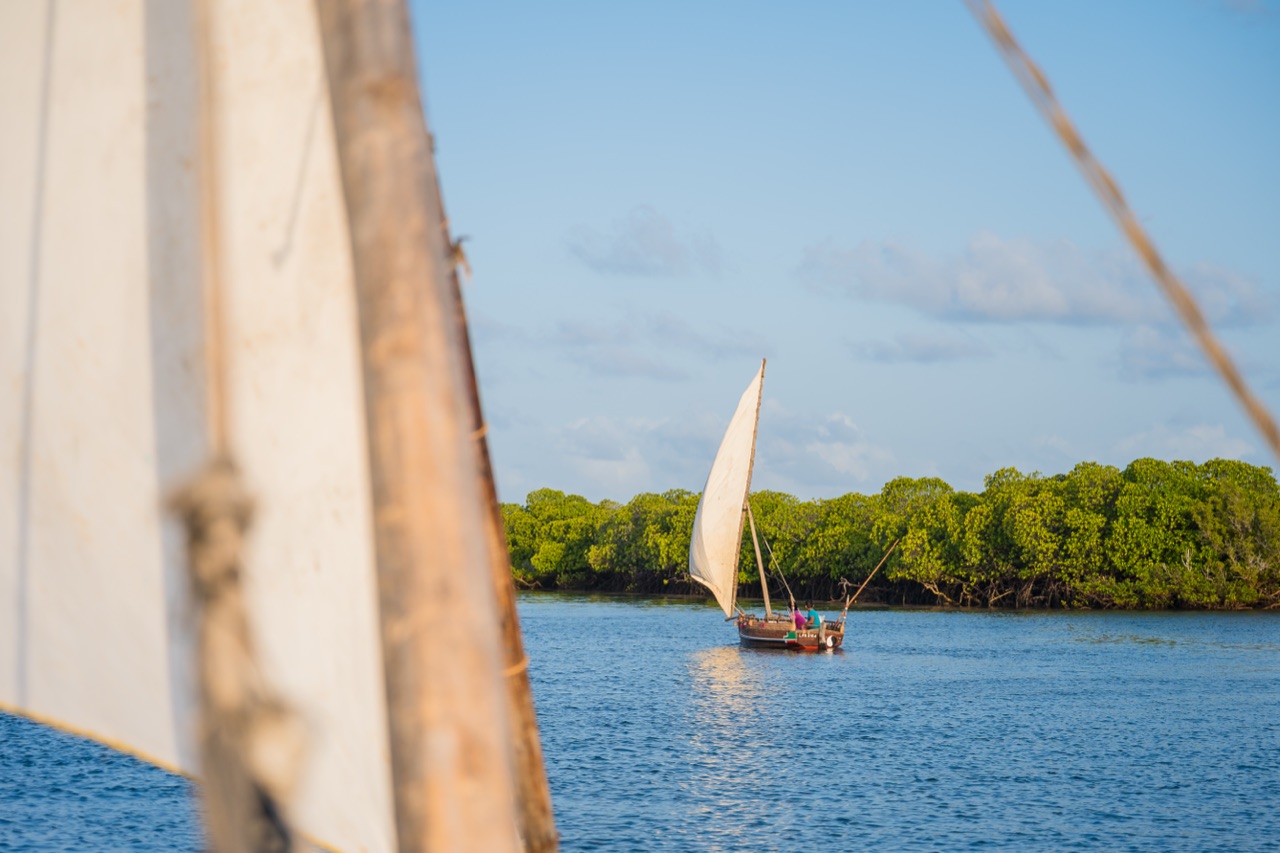 A traditional dhow sailing off Lamu