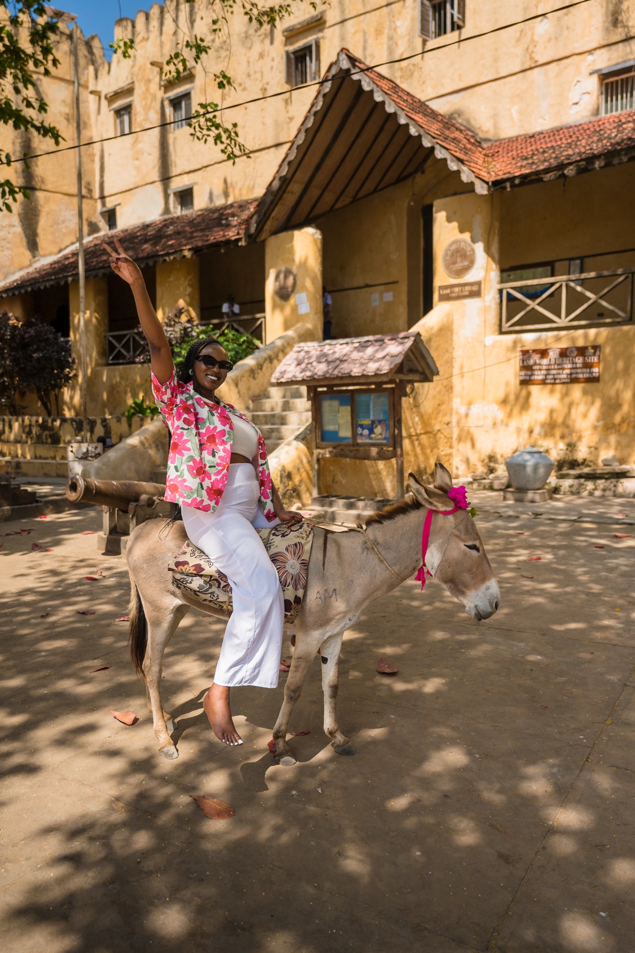 The narrow coral-stone lanes of Lamu Old Town, a UNESCO World Heritage Site.