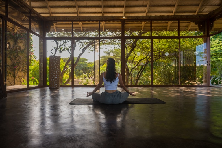 The yoga shala
